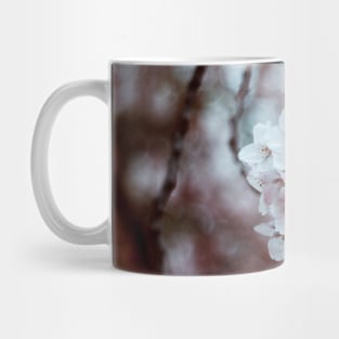 Fleurs du printemps Mug